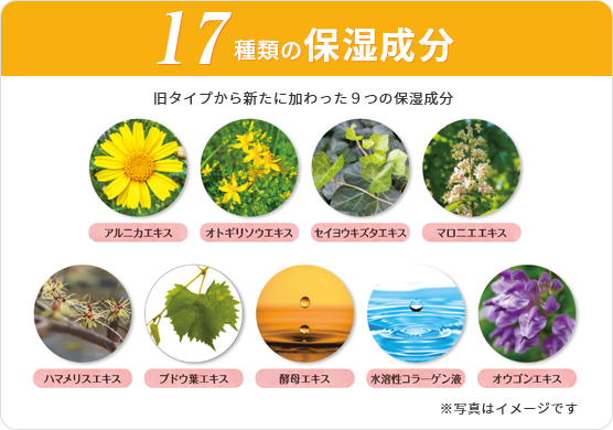 17種類の保湿成分